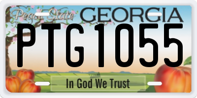 GA license plate PTG1055