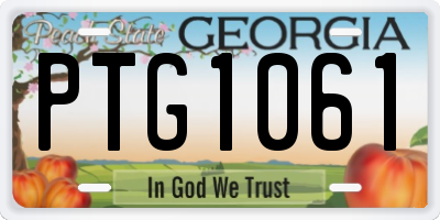 GA license plate PTG1061