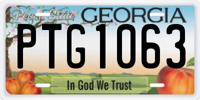GA license plate PTG1063