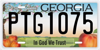 GA license plate PTG1075