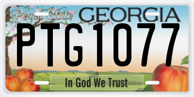 GA license plate PTG1077