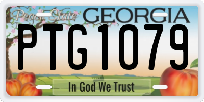 GA license plate PTG1079