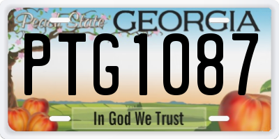 GA license plate PTG1087