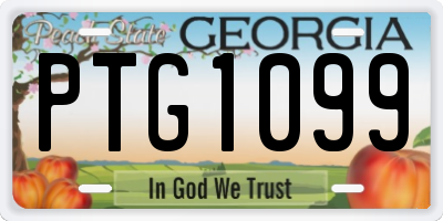 GA license plate PTG1099