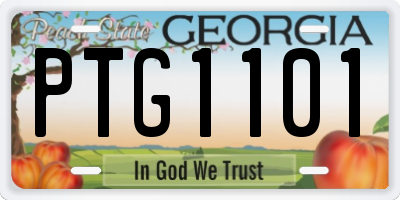 GA license plate PTG1101