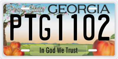 GA license plate PTG1102
