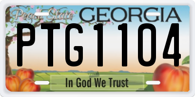 GA license plate PTG1104