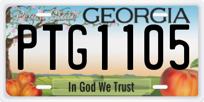 GA license plate PTG1105