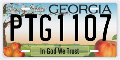 GA license plate PTG1107