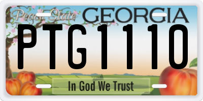 GA license plate PTG1110
