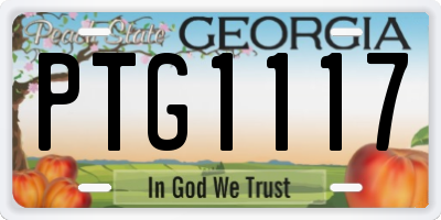 GA license plate PTG1117