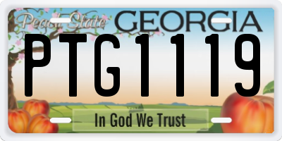 GA license plate PTG1119