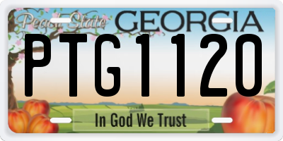 GA license plate PTG1120