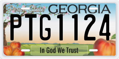 GA license plate PTG1124