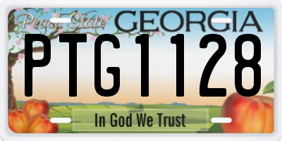 GA license plate PTG1128