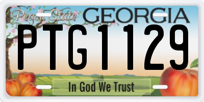GA license plate PTG1129