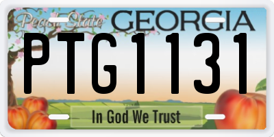 GA license plate PTG1131