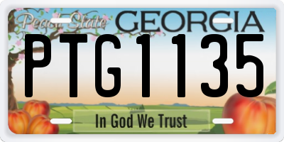 GA license plate PTG1135