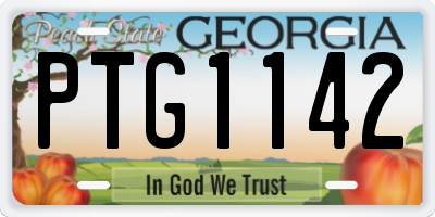 GA license plate PTG1142