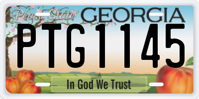 GA license plate PTG1145