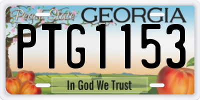 GA license plate PTG1153