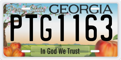 GA license plate PTG1163