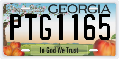 GA license plate PTG1165