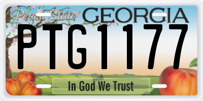 GA license plate PTG1177