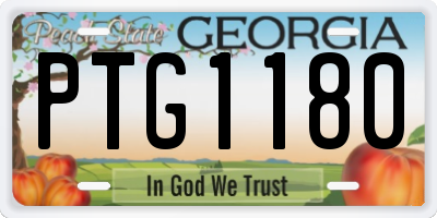 GA license plate PTG1180