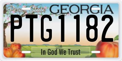 GA license plate PTG1182