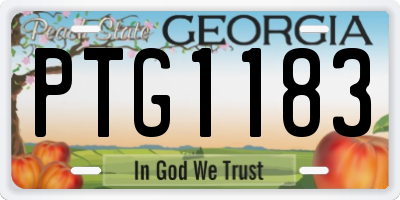 GA license plate PTG1183