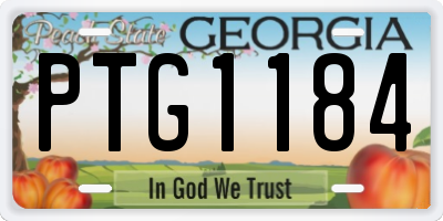 GA license plate PTG1184