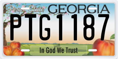 GA license plate PTG1187