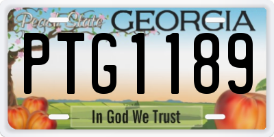 GA license plate PTG1189
