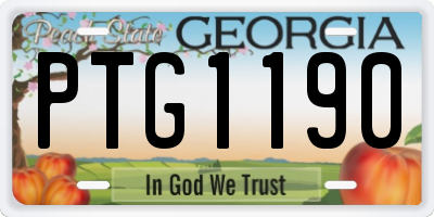 GA license plate PTG1190