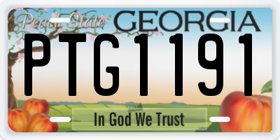 GA license plate PTG1191