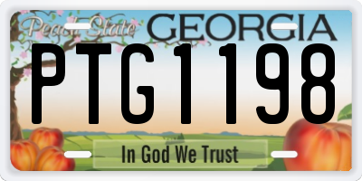GA license plate PTG1198