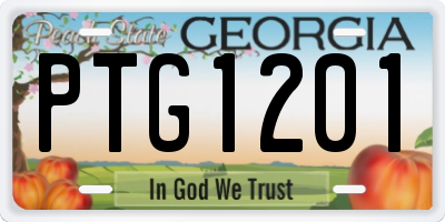 GA license plate PTG1201