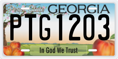 GA license plate PTG1203