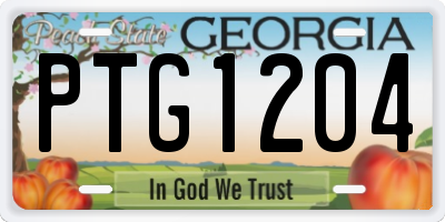 GA license plate PTG1204