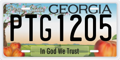 GA license plate PTG1205