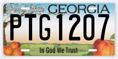 GA license plate PTG1207
