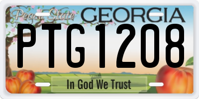 GA license plate PTG1208