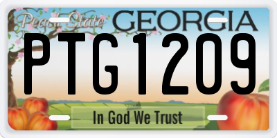 GA license plate PTG1209