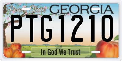 GA license plate PTG1210