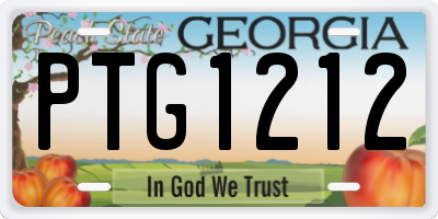 GA license plate PTG1212