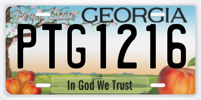GA license plate PTG1216