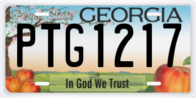 GA license plate PTG1217