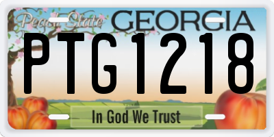 GA license plate PTG1218