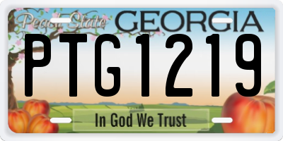 GA license plate PTG1219
